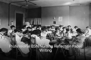 Professional BSN Nursing Reflection Paper Writing
