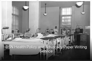 BSN Health Policy and Advocacy Paper Writing Service