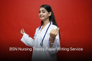 BSN Nursing Theory Paper Writing Service