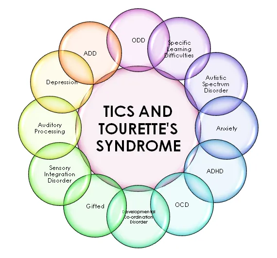 Tourette's Syndrome