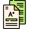 Essay Help